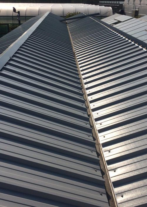 Glasshouse Re-Roof