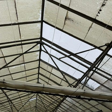 Commercial Glasshouse Reglaze