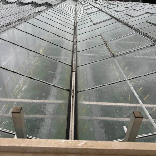 Rooftop of Commercial Glasshouse