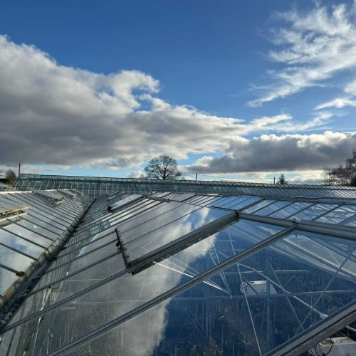 Glasshouse Pressure Cleaning