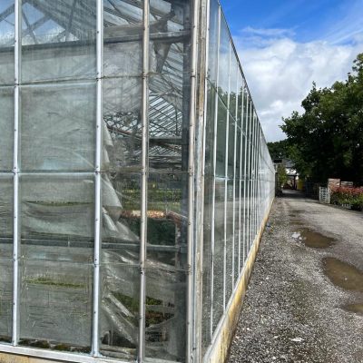 PHOTO-2023-07-12-20-14-08_2