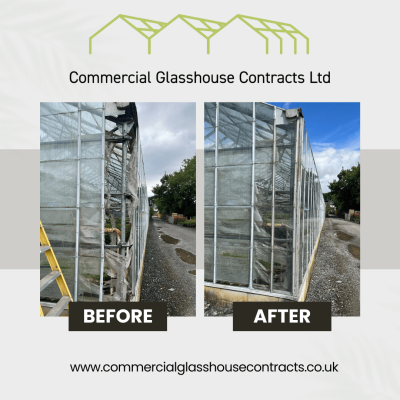 Before & After - Everglades