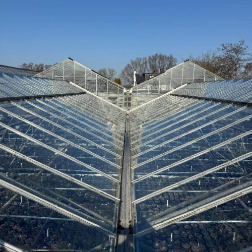 Glasshouse Pressure Cleaning