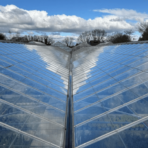 High Pressure Glasshouse Cleaning