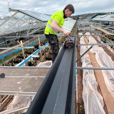 David Austin Roses - Gutter Replacement (2)