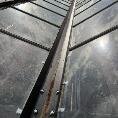 David Austin Roses - Gutter Replacement (3)
