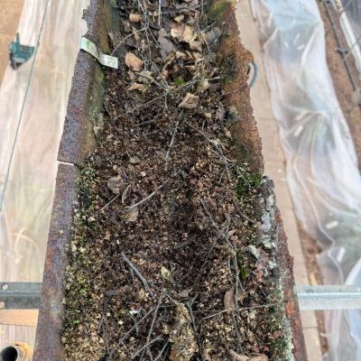David Austin Roses - Gutter Replacement (4)