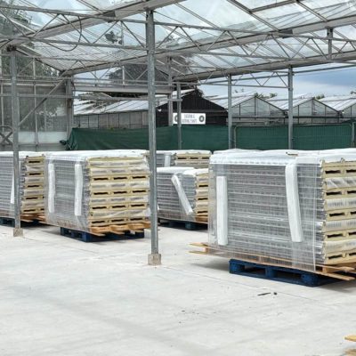Glasshouse Re-roof - Daisy Clough Nurseries