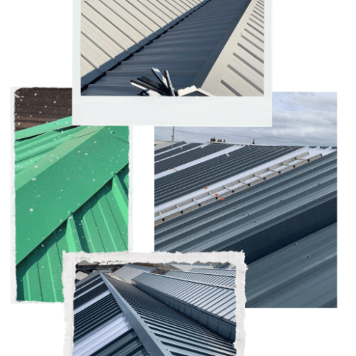Glasshouse Re-Roofing / Re-Purposing
