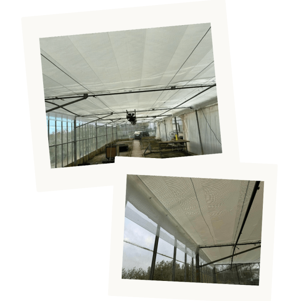 Glasshouse Thermal & Insect Screens